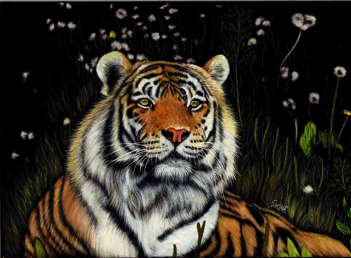 Tiger in a dark field with flowers