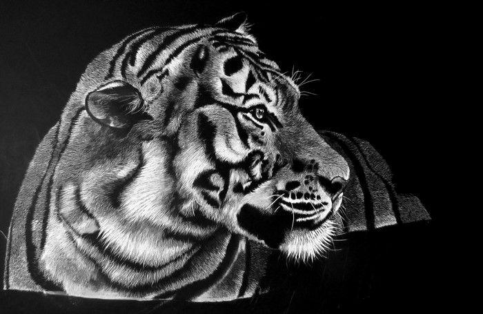 Black and white painting of a tiger