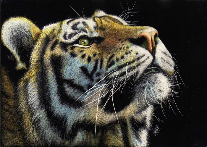 Close-up painting of a tiger's face