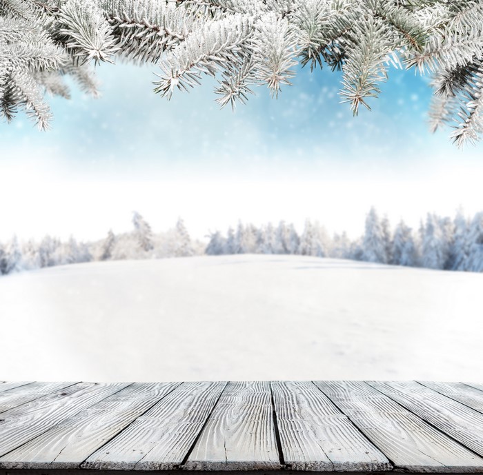 Winter Snow Branches Wood Planks Template Greeting Card
