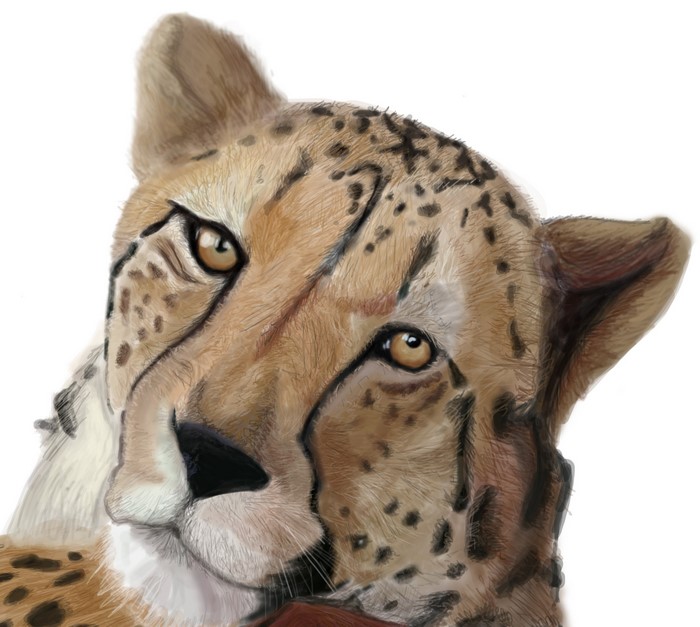 Painting of a Cheetah's Head