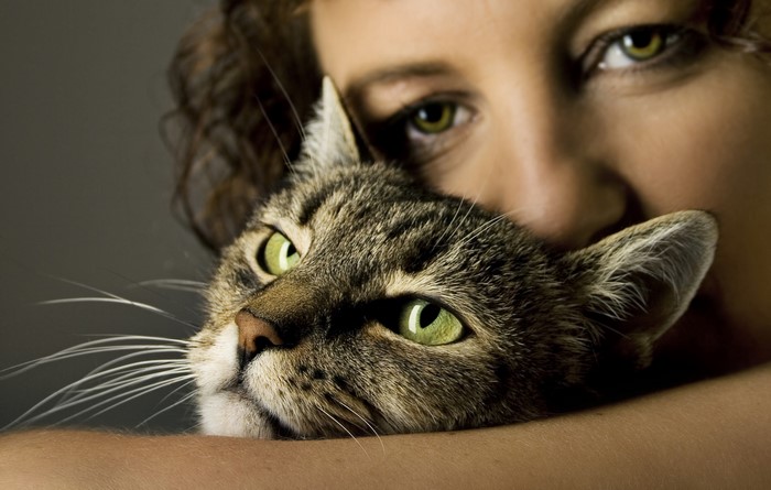 Woman holding a tabby cat