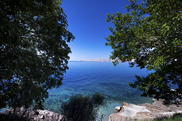Croatia Coastline with Trees and Clear Blue Water