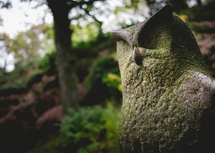 Stone owl sculpture covered in moss in a forest