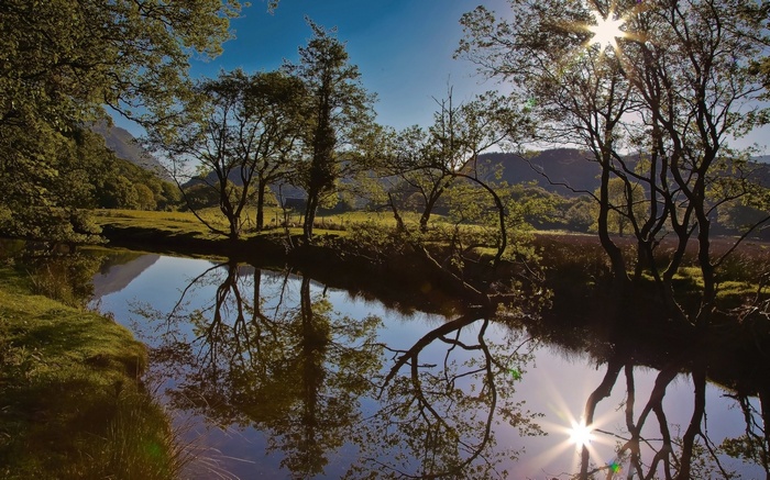 Trees reflected in a calm river under a bright sun