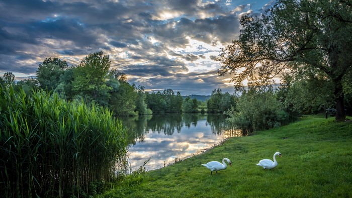 4K Evening View of Bobovica Lake in Croatia