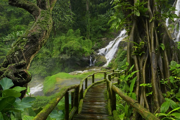 Wooden bridge over a waterfall in a Thai jungle