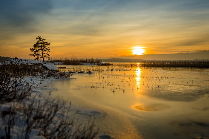 Winter sunset over a frozen lake with a lone tree