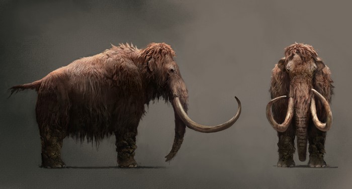 Mammoth from Far Cry Primal