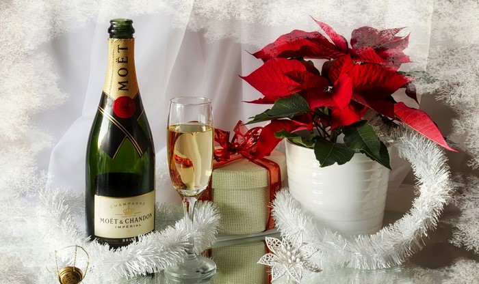 Moet & Chandon Champagne Bottle with Poinsettia and Gift