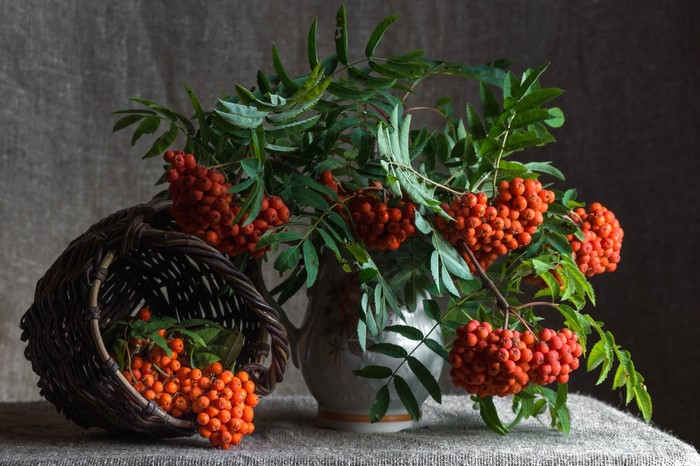Rowan berries in a basket and vase
