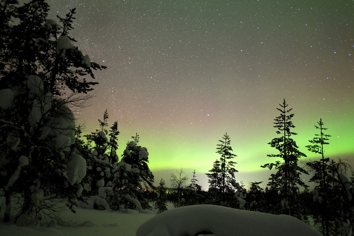 Aurora Borealis over snowy forest in Lapland