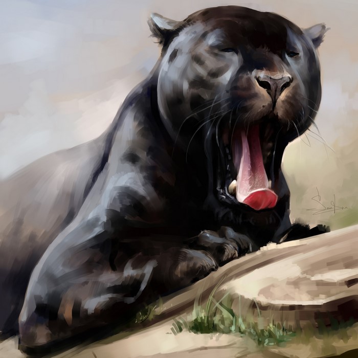 Black Panther yawning on a log
