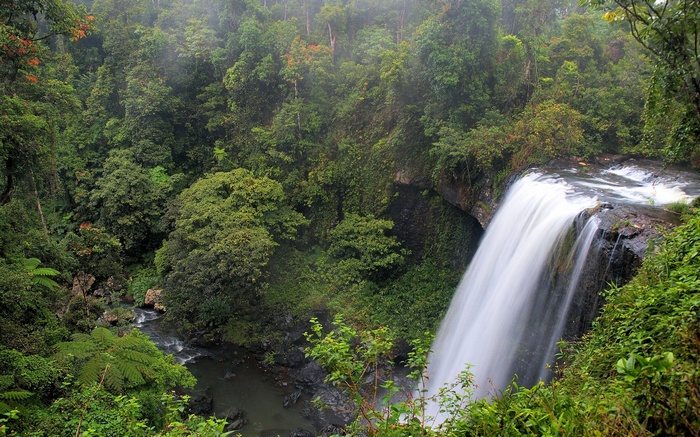Waterfall cascading through a dense rainforest