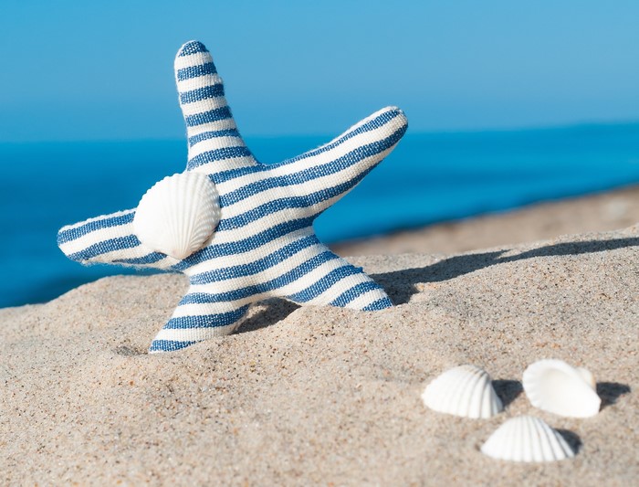 Starfish and shells on a sandy beach with ocean background