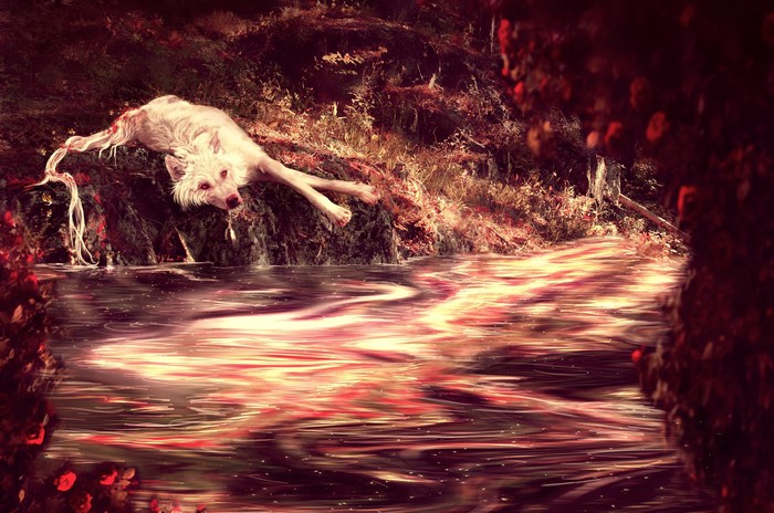 White wolf by a bloody stream