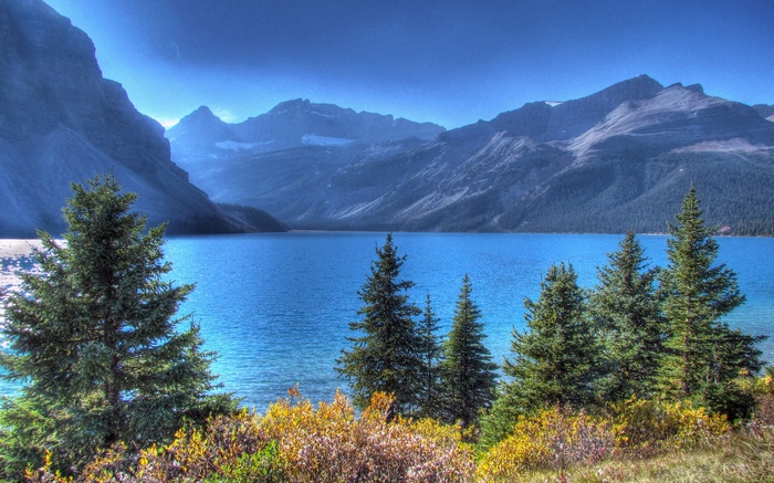 Lake and mountains with pine trees in the foreground