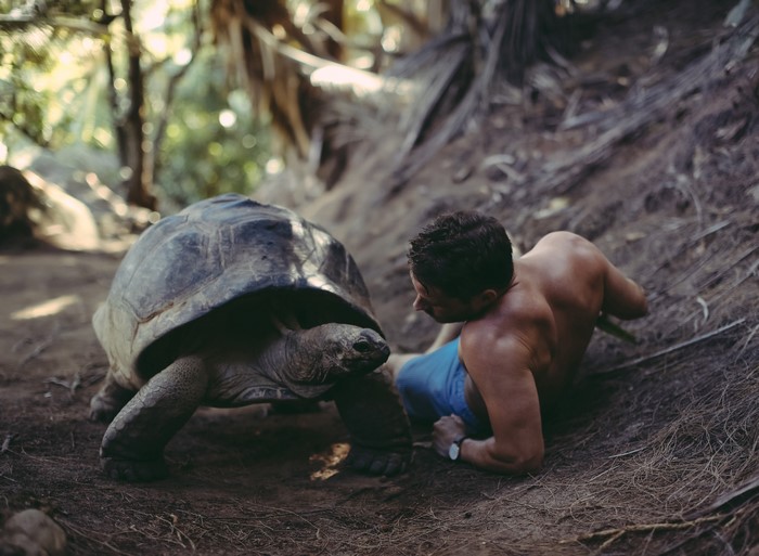 Man and giant tortoise in a forest
