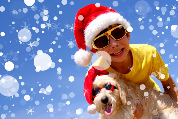 Boy and dog wearing Santa hats and sunglasses