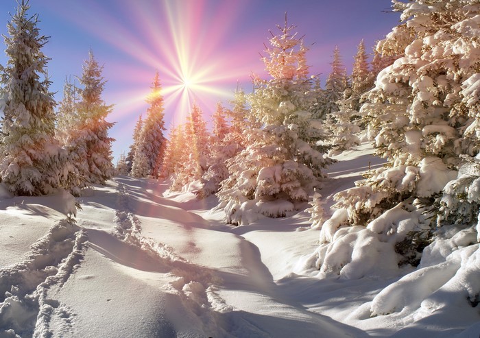 4K Winter Sunrise in Zakarpattia, Ukraine