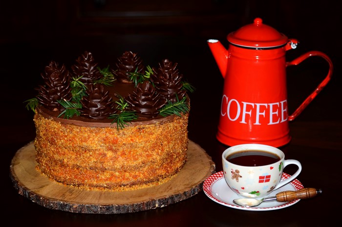 Chocolate cake with pine cones and coffee