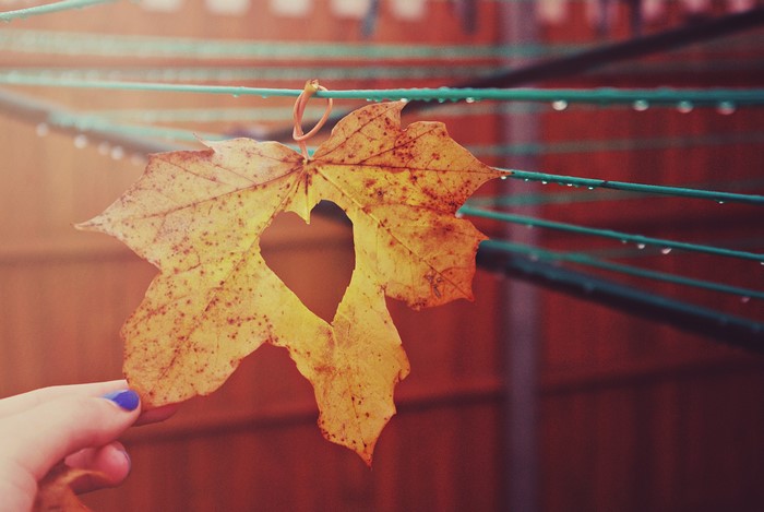 Maple leaf with heart shape hanging on clothesline