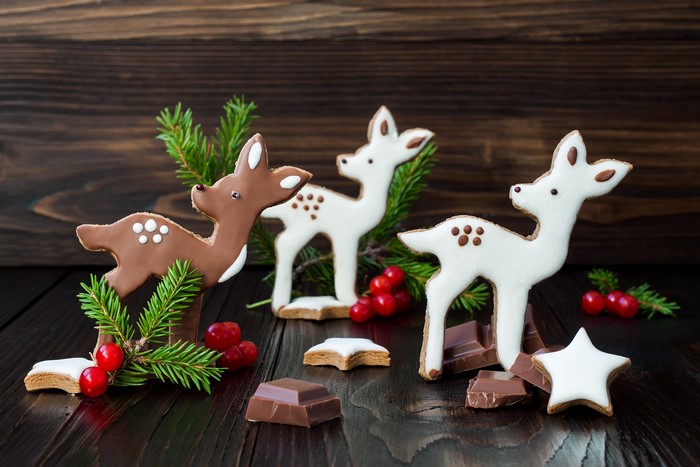 Christmas deer cookies with chocolate and pine branches
