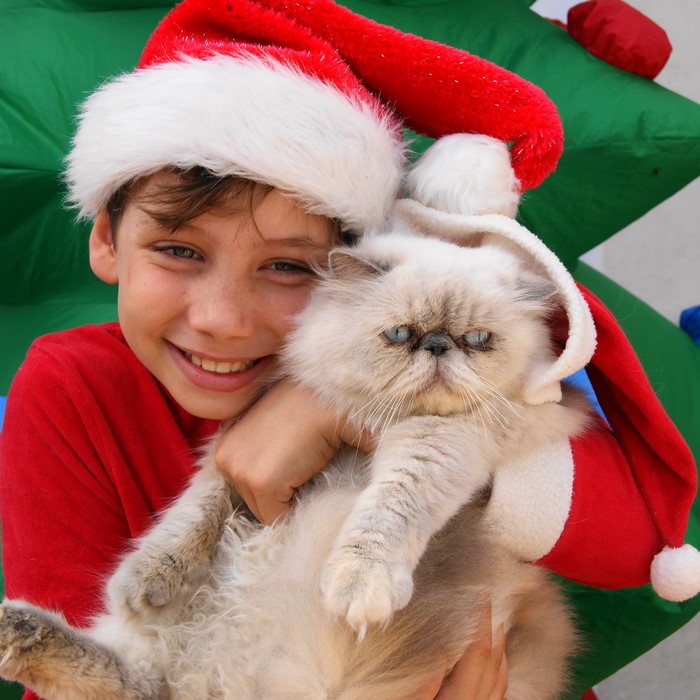 Boy and cat wearing Santa hats