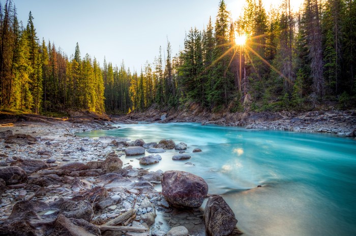 4K Canada River Forest Stones Rays of Light