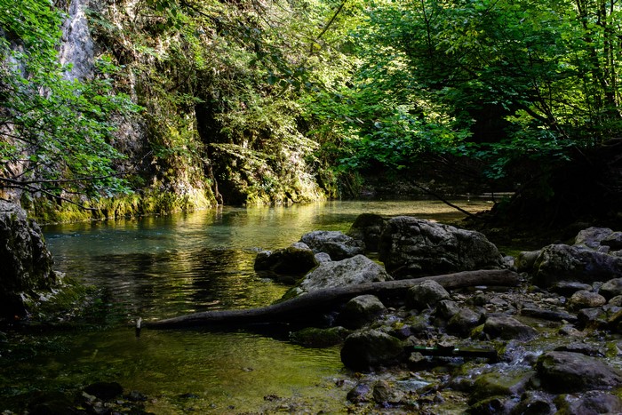 River flowing through a rocky forest in Crimea, Russia