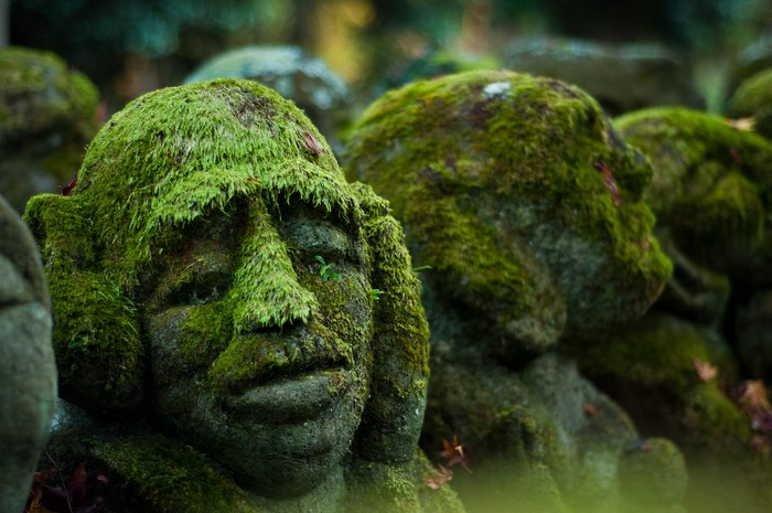 Moss-covered stone sculptures of faces in a garden