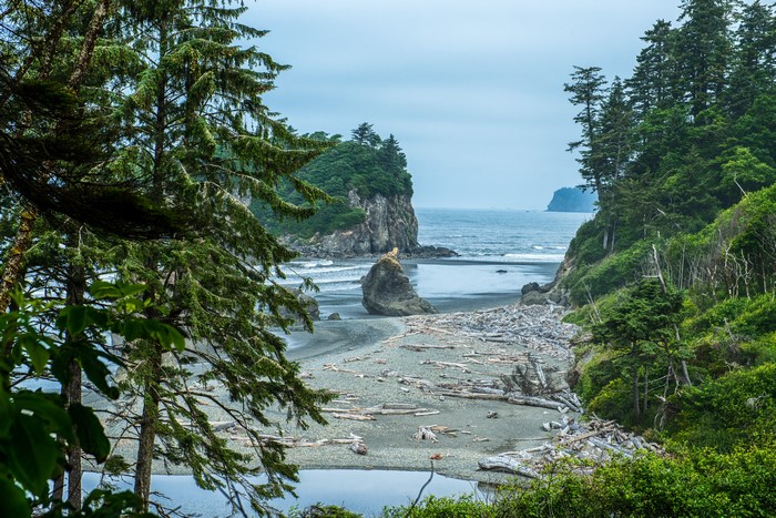 4K Scenic View of Olympic National Park Beach