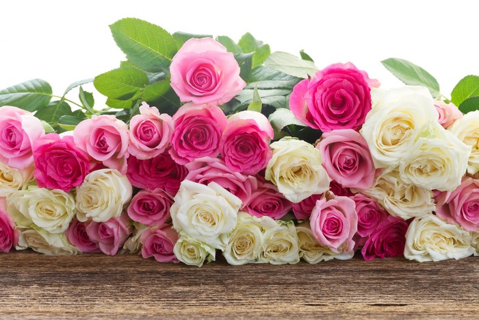 Roses in pink, white, and deep pink on a wooden surface