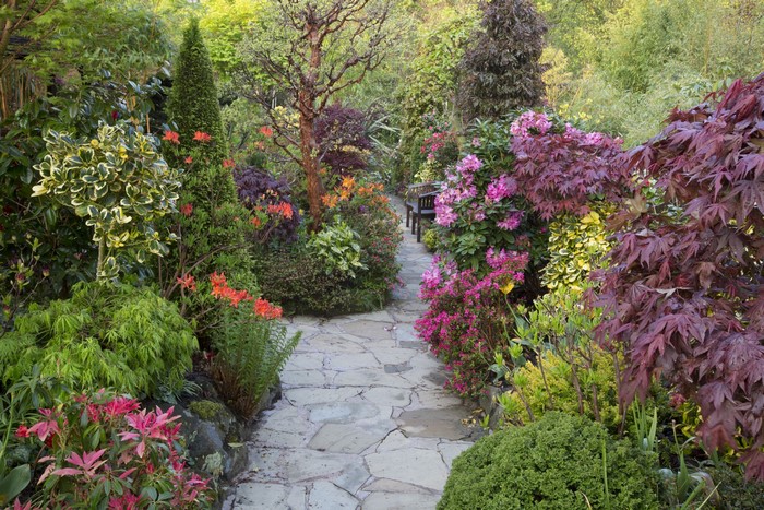 Stone path through a garden with flowering shrubs in England