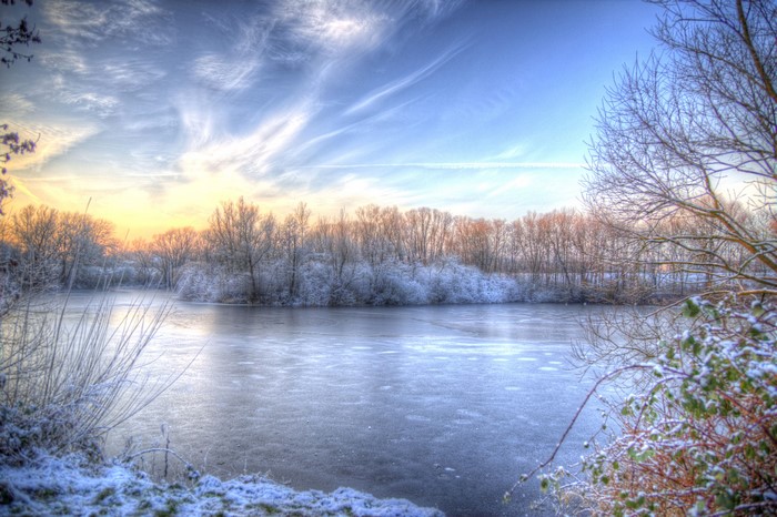 Frozen lake and trees under a cloudy sky