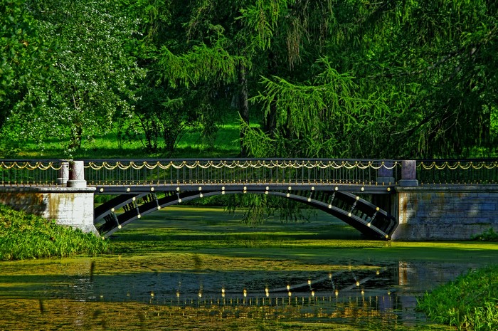 Bridge over a pond in a park in Pushkino, St. Petersburg, Russia