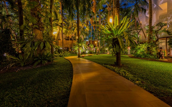 Pathway through a tropical garden at night