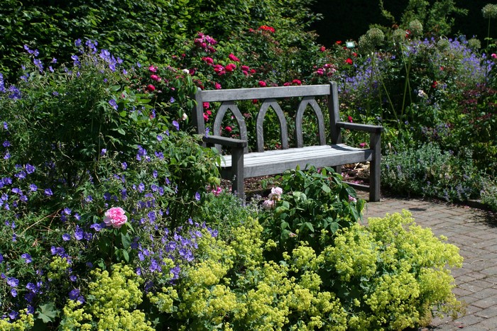 Garden bench surrounded by flowers and shrubs