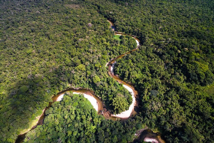 Aerial view of a winding river through the Amazon jungle in Brazil
