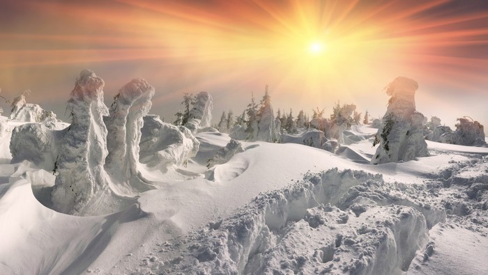 Winter landscape with snow-covered trees and sun