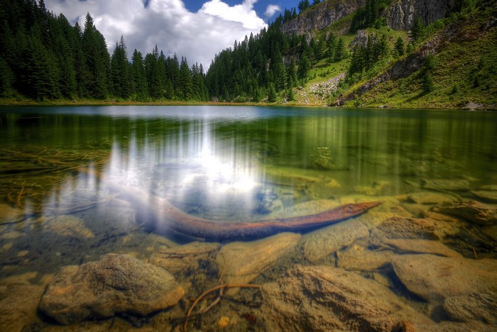 Lake with submerged log and rocky bottom
