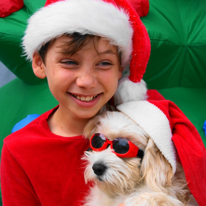 Boy and dog wearing Santa hats and sunglasses