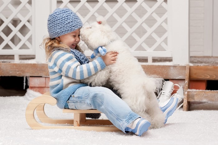 Girl in winter hat hugging a white dog on a sled