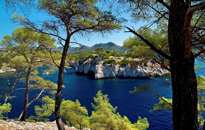 Calanque Port Miou Provence France with Trees and Cliffs