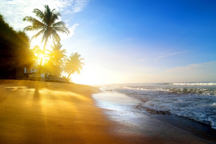 Tropical beach with palm trees at sunrise