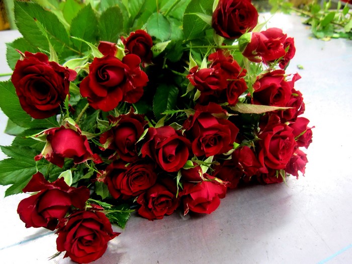 A bouquet of deep red roses