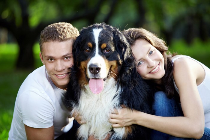 Man, woman, and Bernese Mountain Dog in park