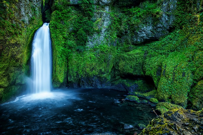 Wahclella Falls Oregon USA Waterfall Moss