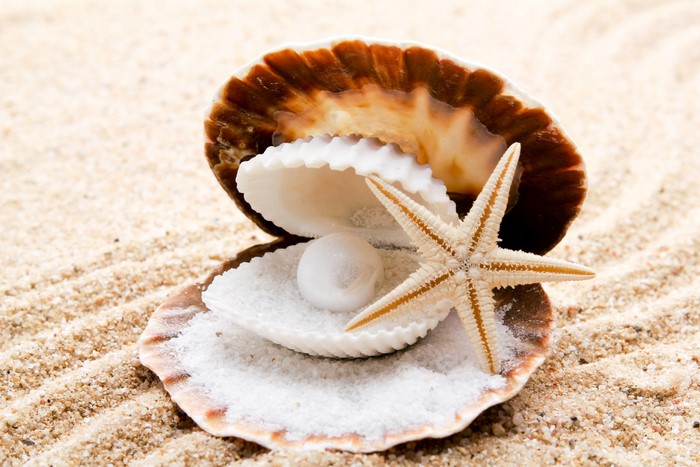 Close-up of Pearl and Starfish on Seashells