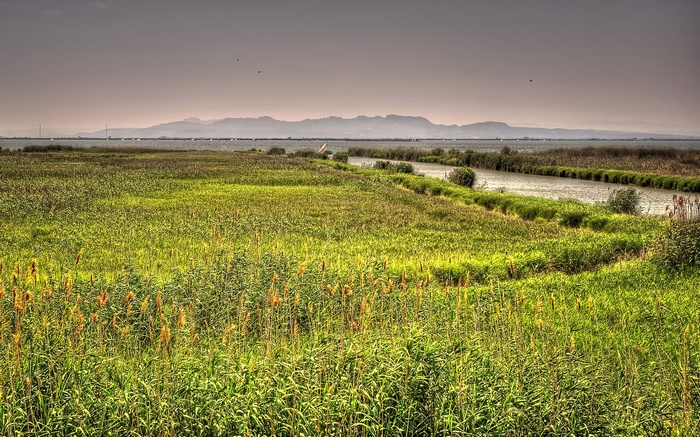 Grassy wetland with distant mountains and a calm body of water